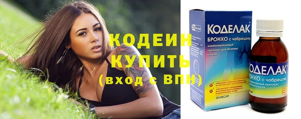 стаф Дмитриев