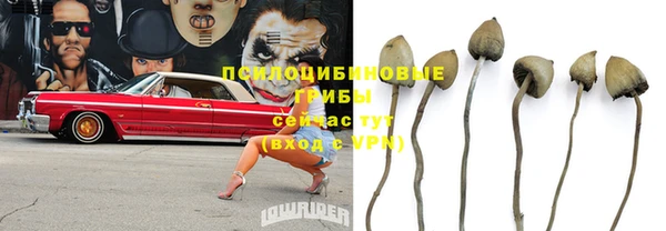 СК Дмитровск
