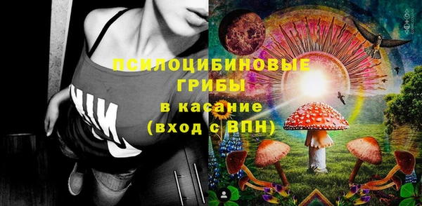 стаф Дмитриев