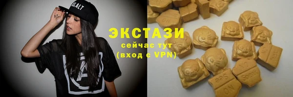СК Дмитровск