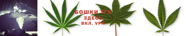 СК Дмитровск