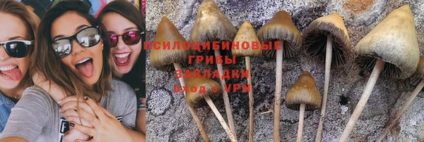 СК Дмитровск