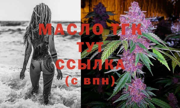 стаф Дмитриев