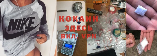 стаф Дмитриев