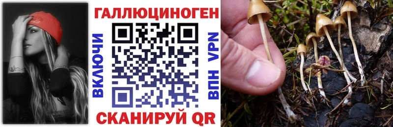 Галлюциногенные грибы MAGIC MUSHROOMS  Купить где  Калач 